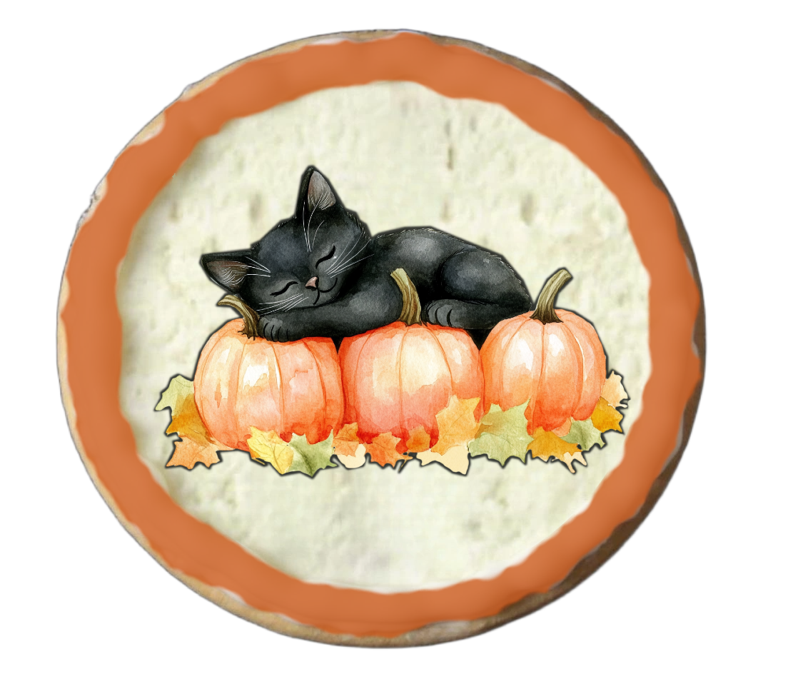Half Dozen Orange and Black Cat Halloween and Witch