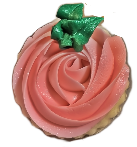 Half Dozen Pink Rosettes