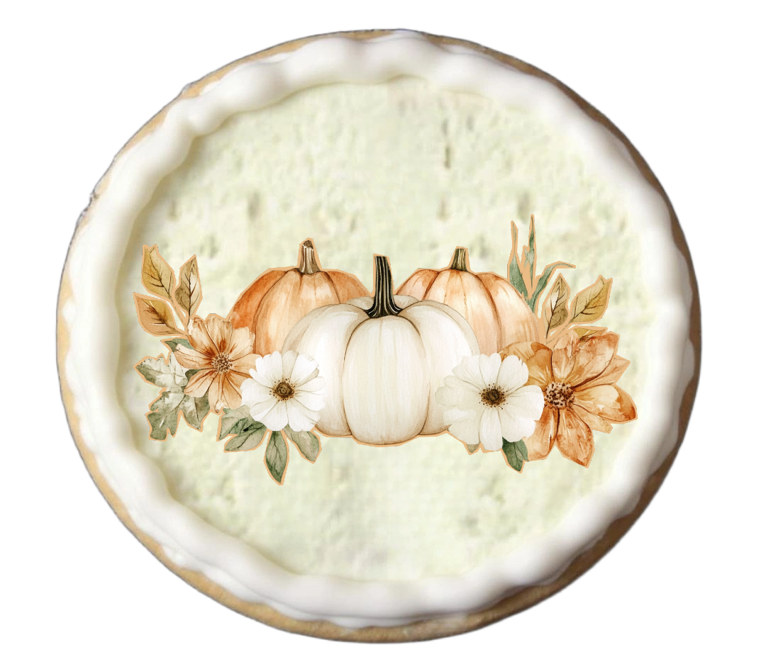 Half Dozen Fall Autumn Cookie Set Part 2/2