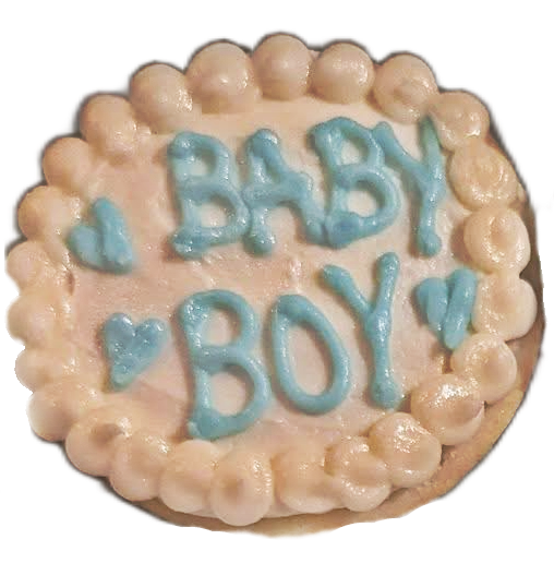 Baby Boy Blue and White Cookies 2