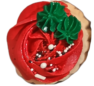Half Dozen Red & White Christmas Rosettes