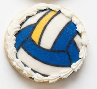 Bal - Volleyball Blue, Yellow, White