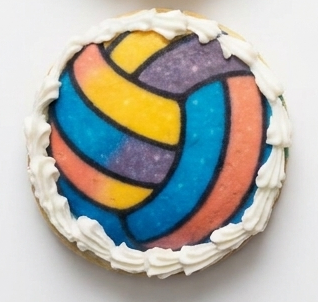 Ball- Volleyball Purple, Pink, Blue, Yellow, White