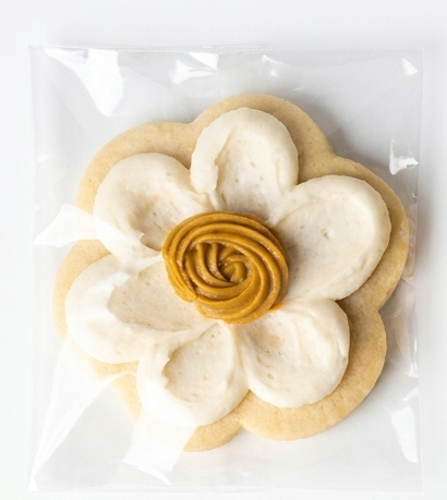 White Flower w/ Brown Center